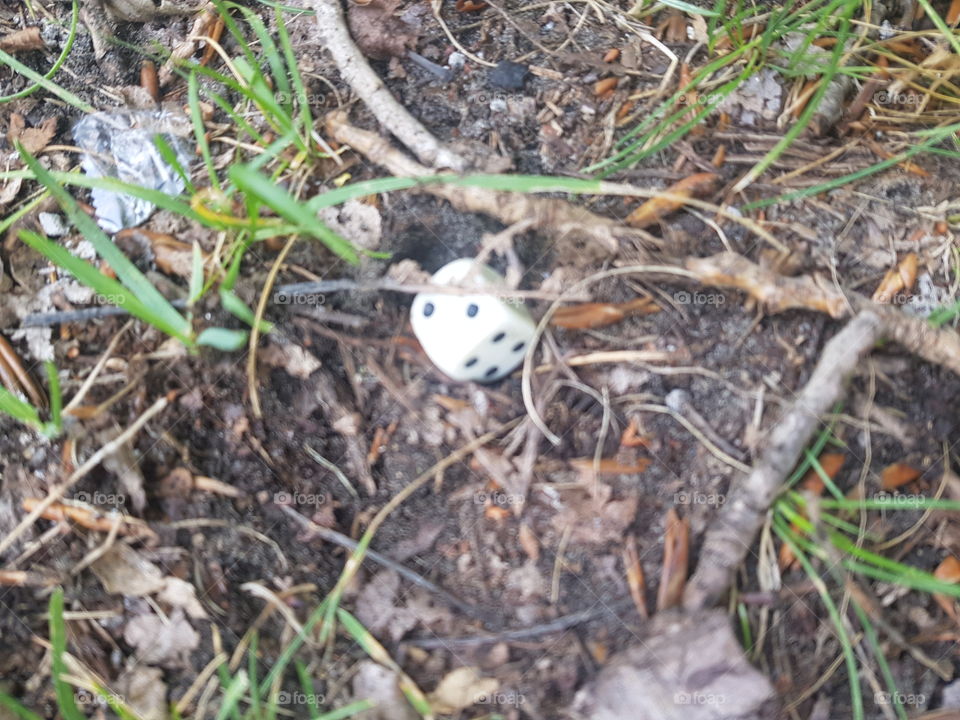 Double stone, the dice was in nature. You can play different games with the dice. 1 to 6 dots have a double stone.