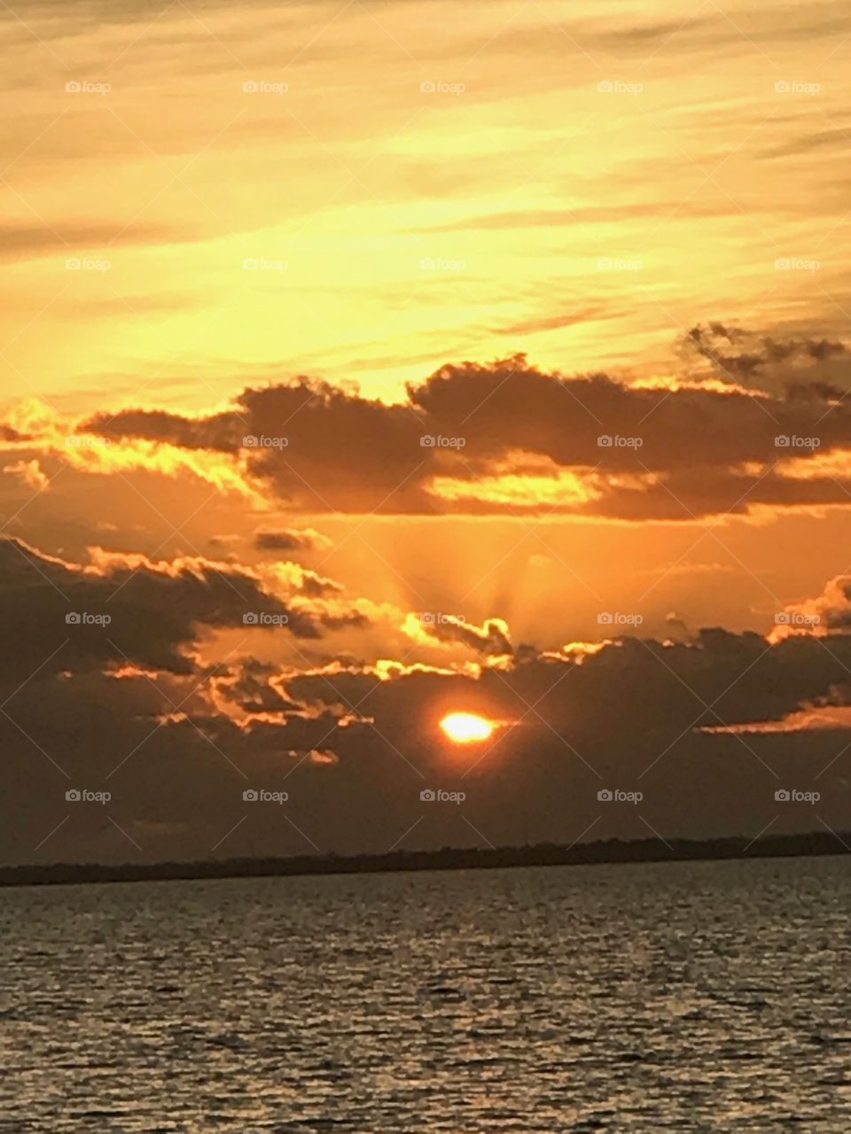 Sunrise #FloridaLife