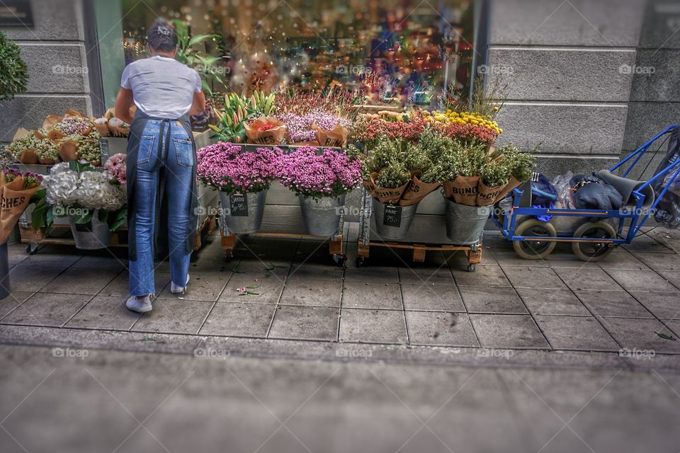 Setting up the Daily Flowers