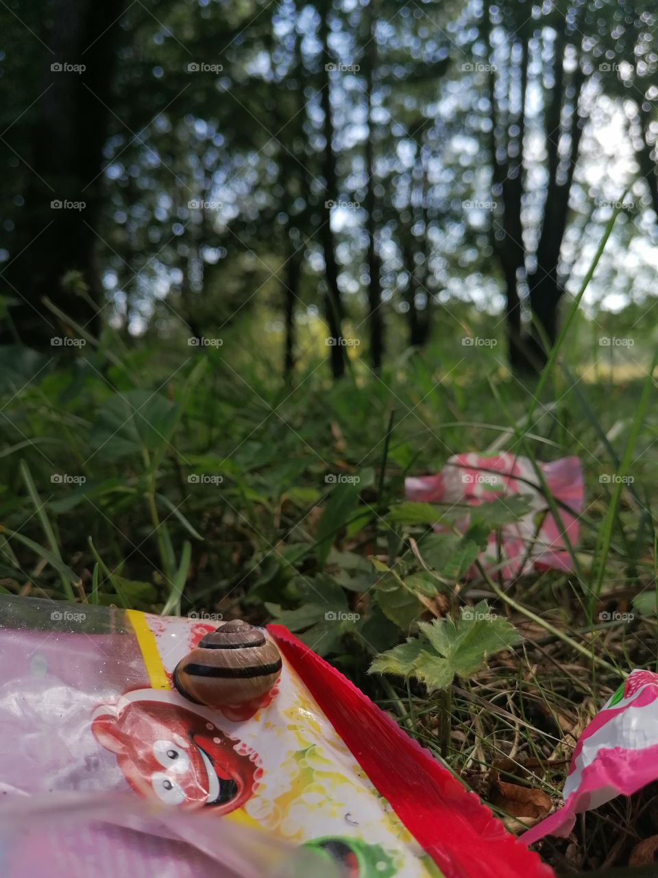 Garbage in nature