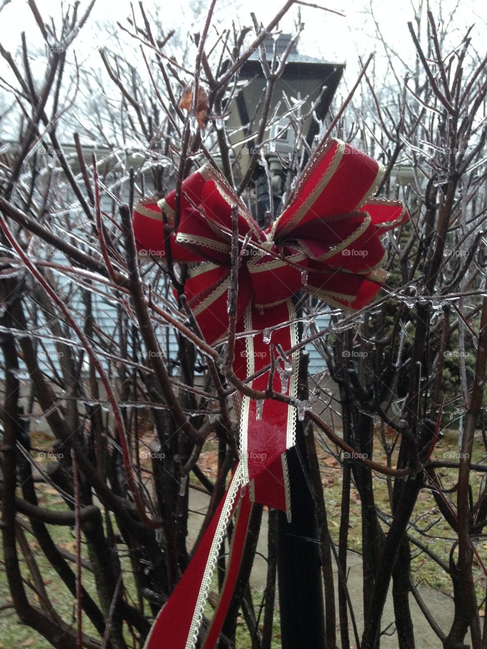 Bows make it prettier 