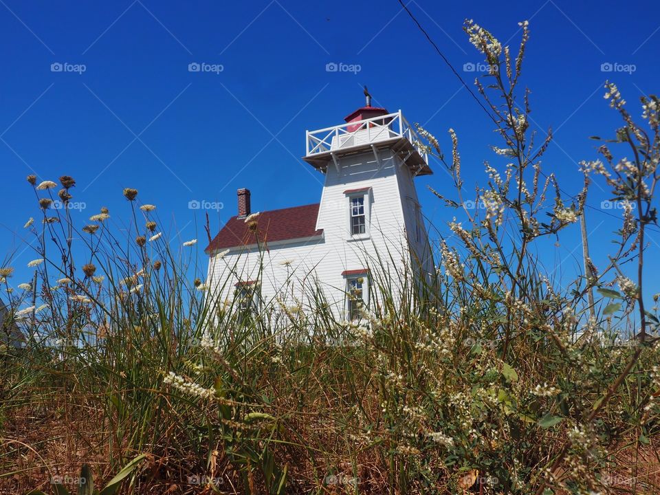 Lighthouse 