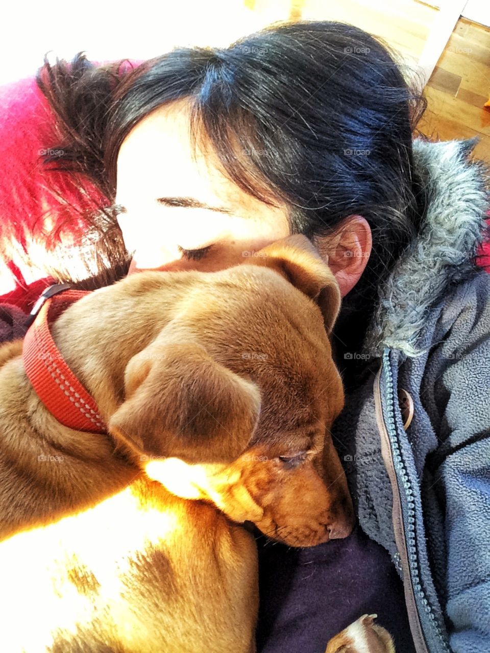 Cuddle time. Dog with human cuddle up