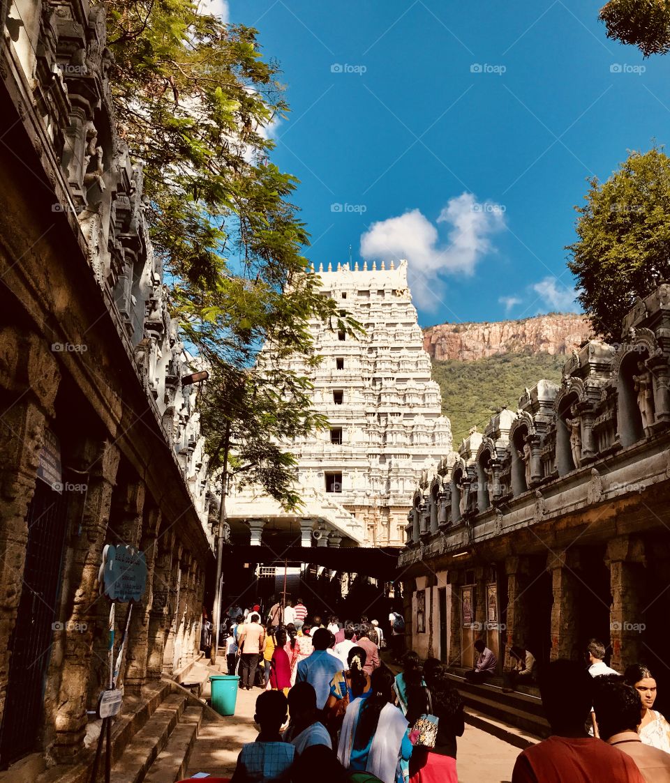 To reach lord Venkateswara, pilgrims have to climb 3500 steps around 19 km with barefoot 