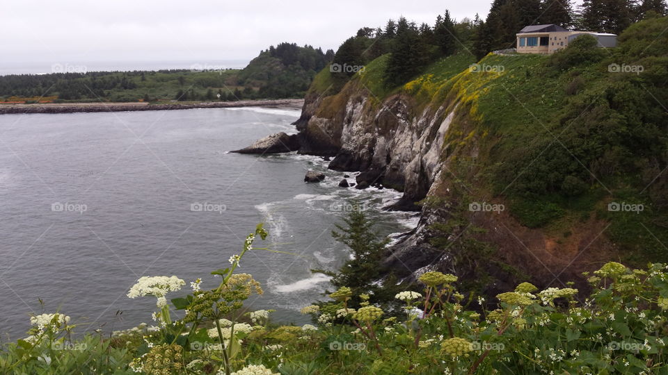 Washington sea cliffs
