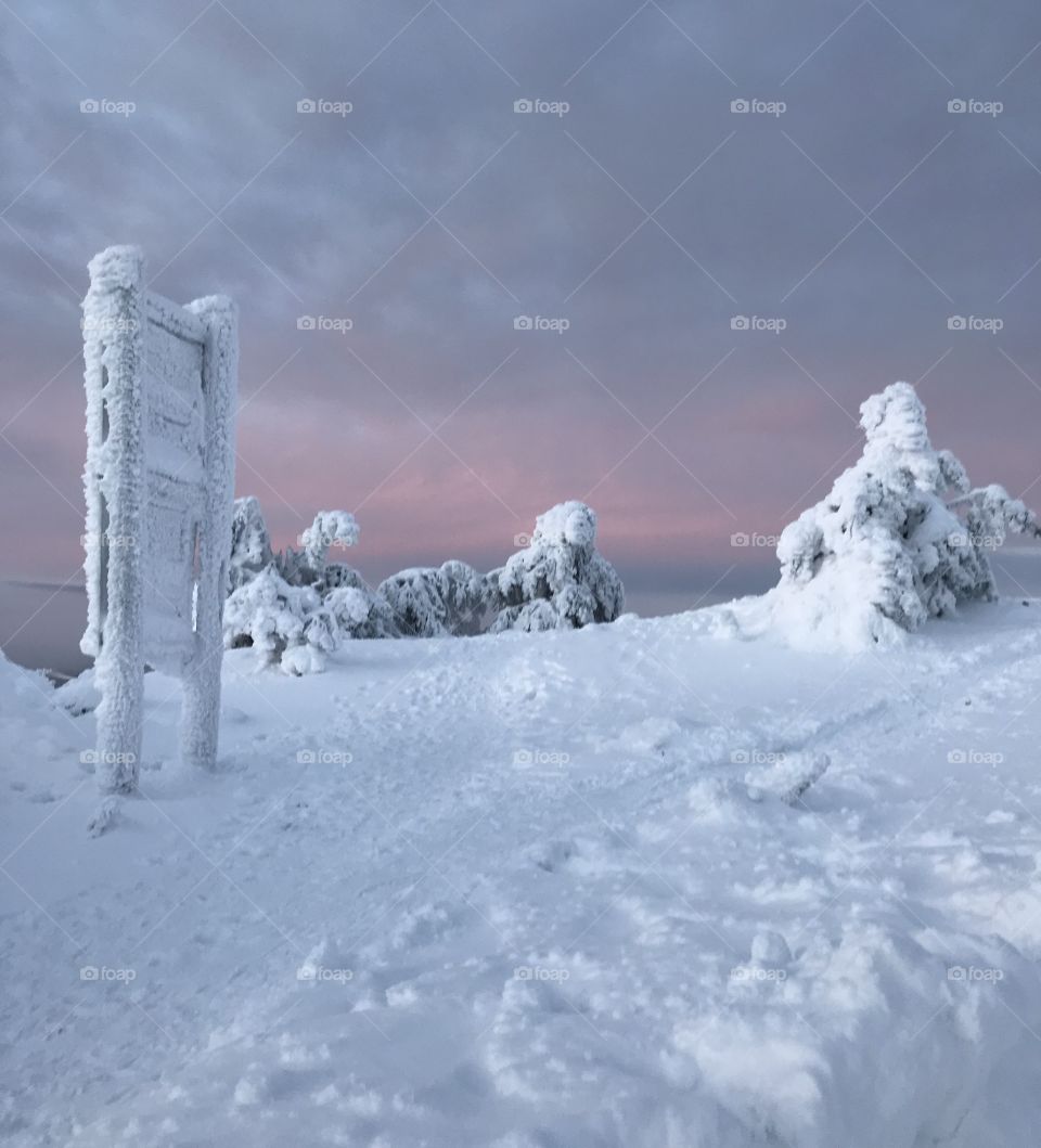 Frozen landscape 
