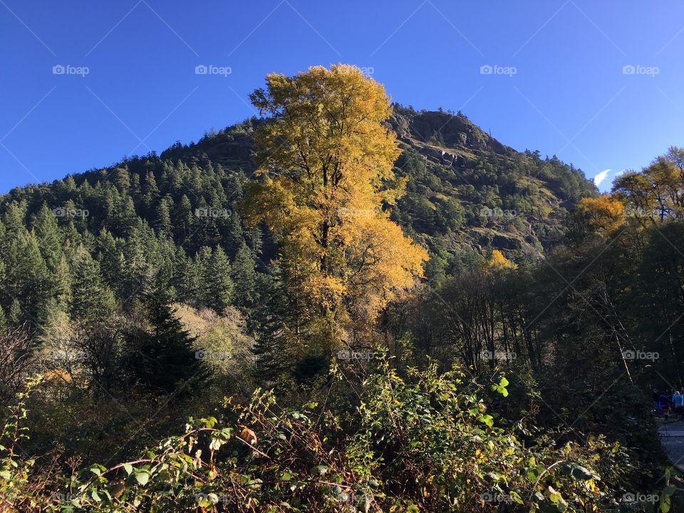 Scenic view of mountain against clear sky