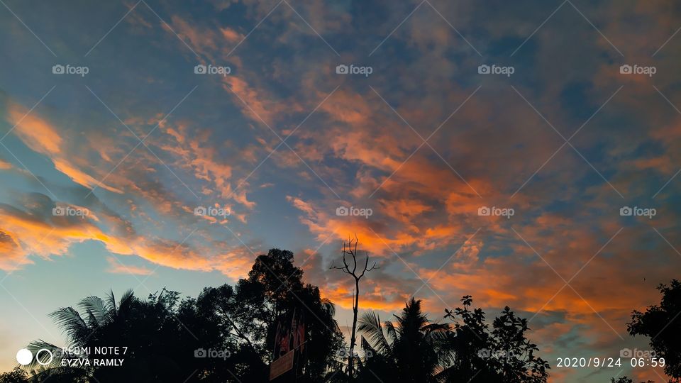 Allah in Arabic (tree)