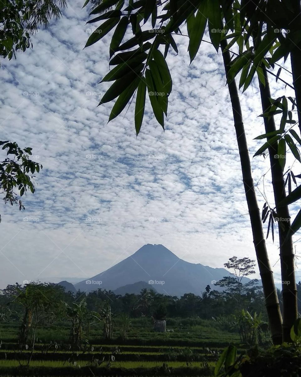 Morning in Merapi, Yogyakarta