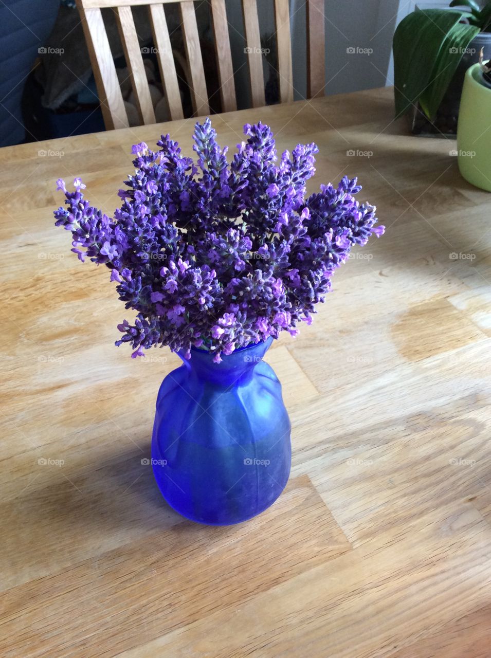 Lavender bouquet . Lavender bouquet 