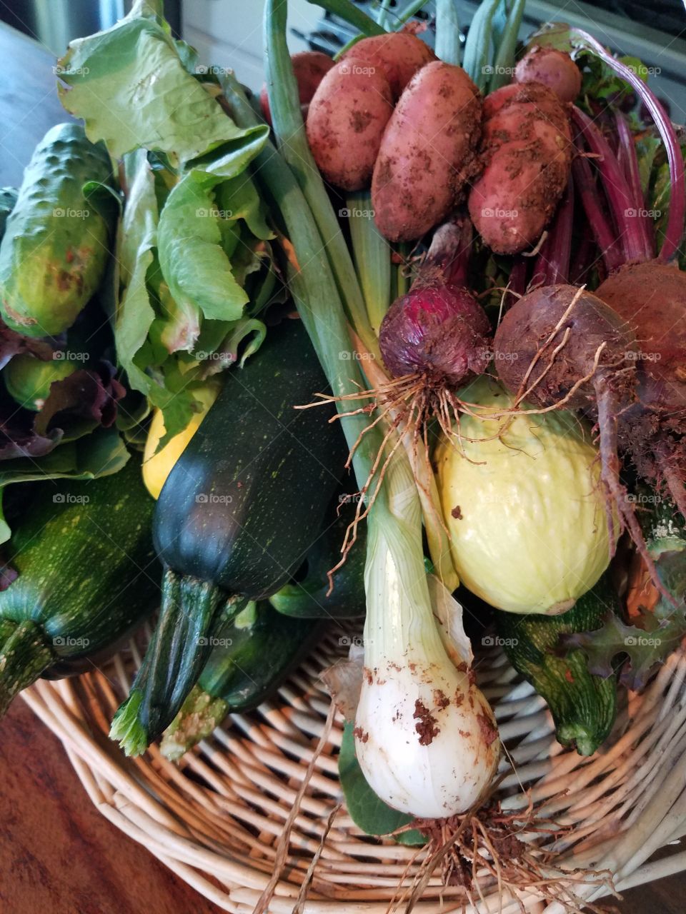 Garden Harvest