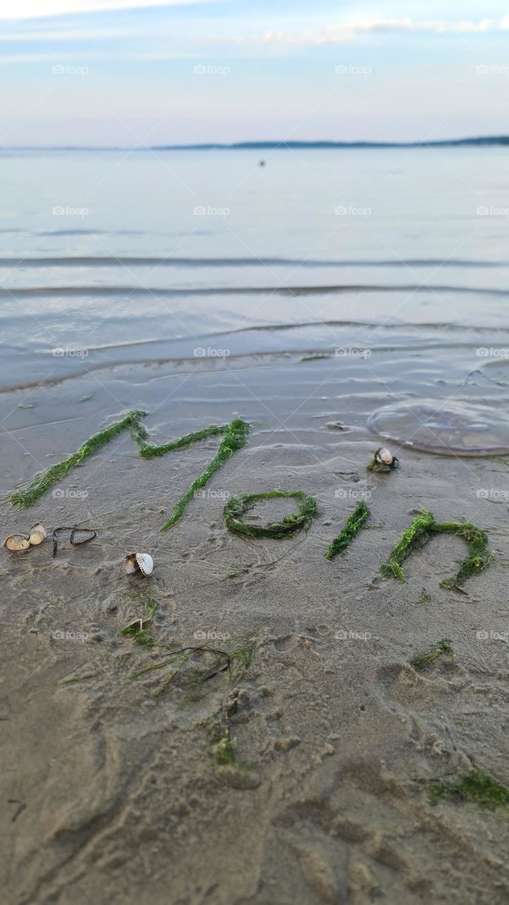 moin  Norden North beach  Strand Algen  water
