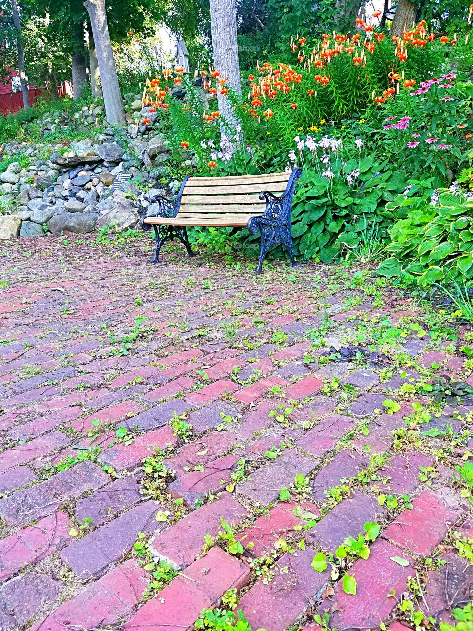 courtyard bench