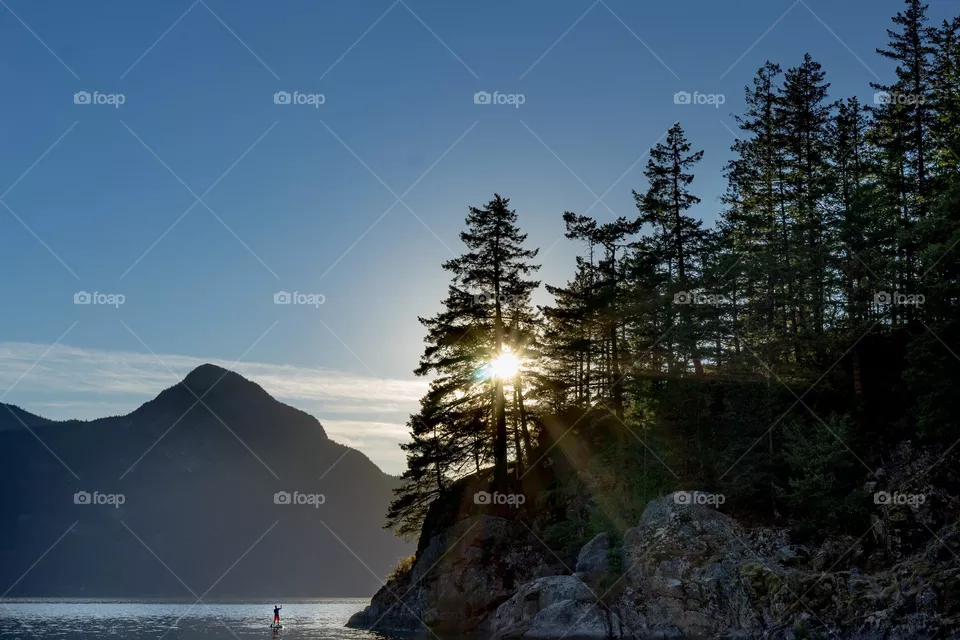 landscape01