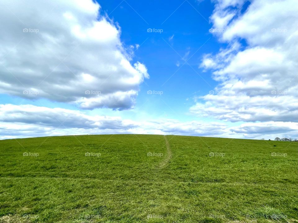 Blue sky and fluffy clouds above a lush green field
