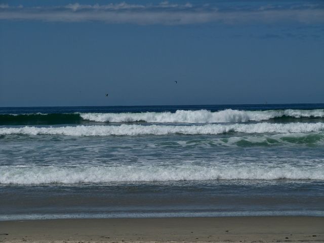 San Diego 