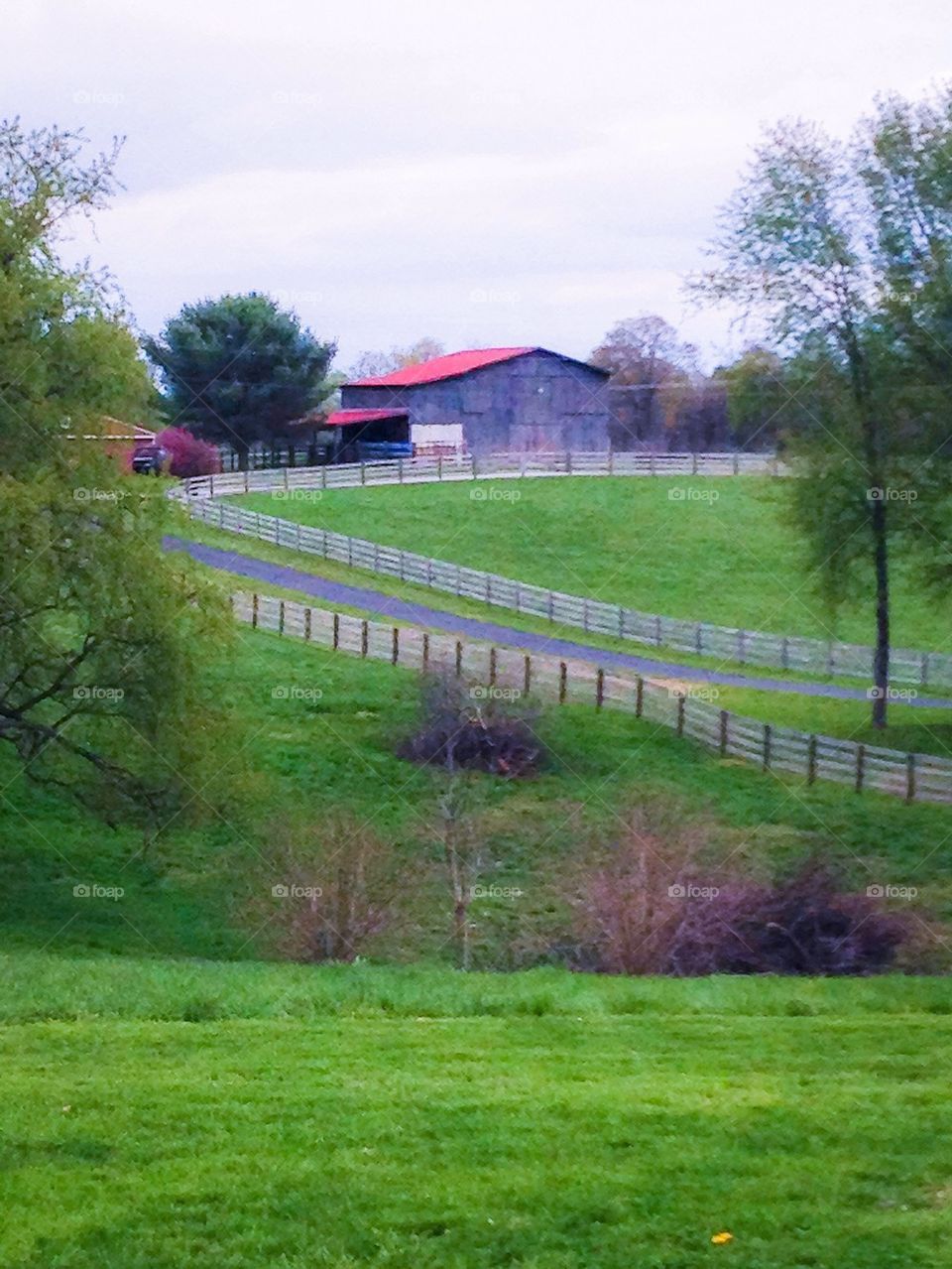 Country view