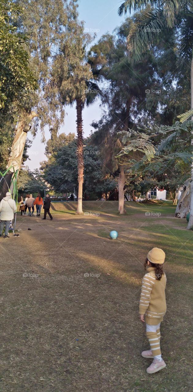 صور منطقة شجرية خيالية تستخدم للتصوير كخلفيات للافراح و مزار راح لمحبي التامل و مشاهدة الجمال الشجري والطبيعة
Pictures of a fictional tree area used for photography as wedding backgrounds and a shrine for lovers of contemplation and watching tree bea