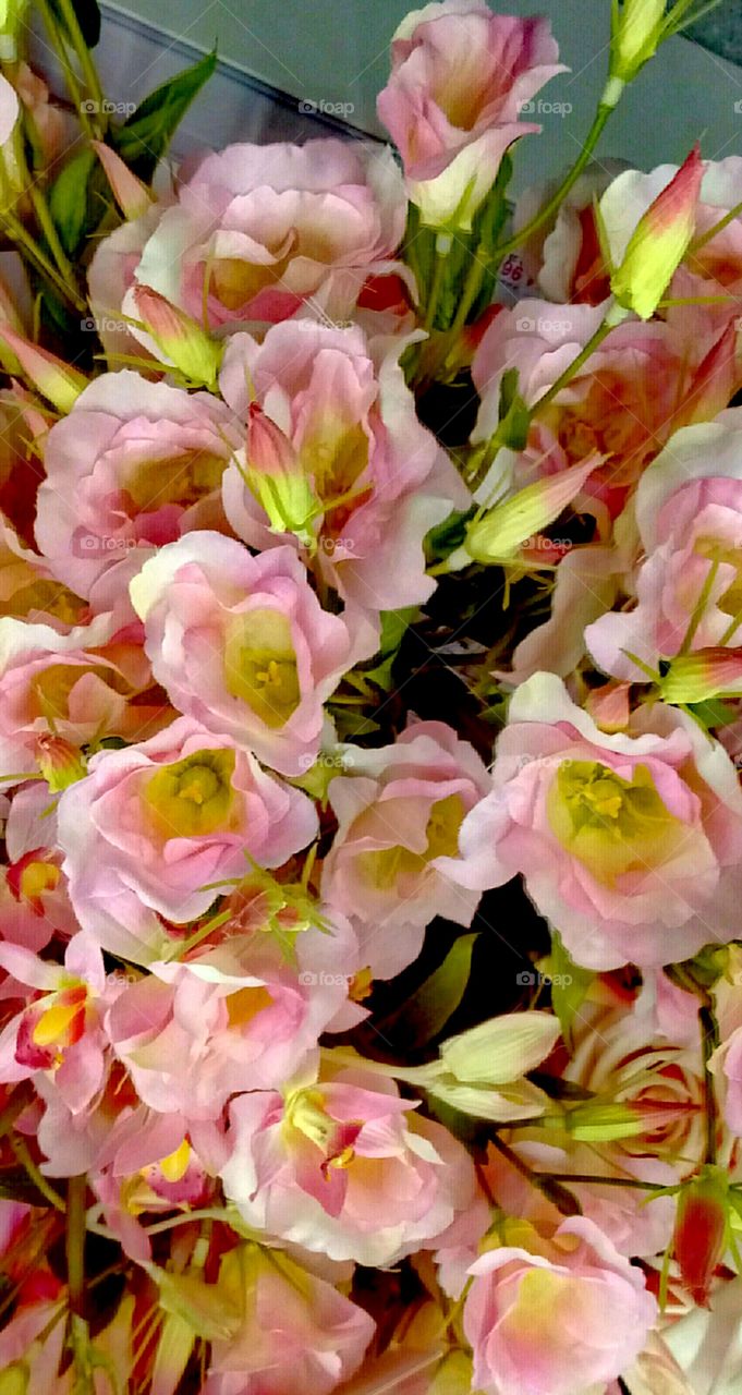 Flower, Nature, Floral, Bouquet, Flora