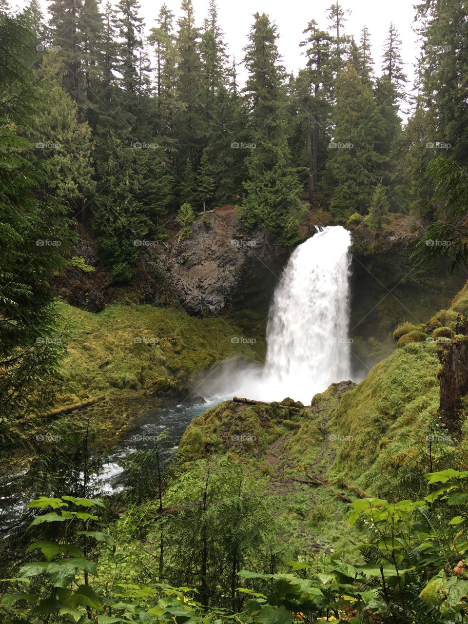 Straight on shot of a beautiful waterfall pushing tons of white water over allege plumbing to the stream below surrounded with beautiful mossy hillsides and evergreen trees with every accent of a forest. 