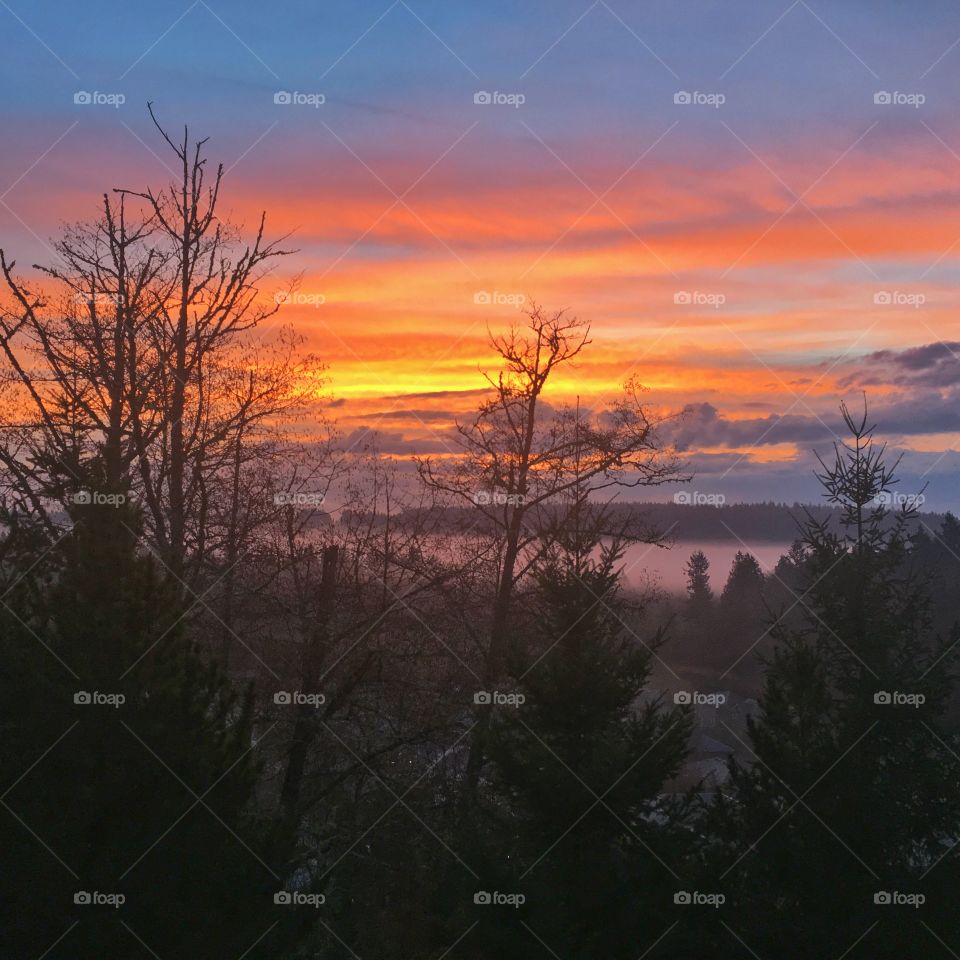 Misty Winter Sunrise over The Cascade Mountains of Washington State