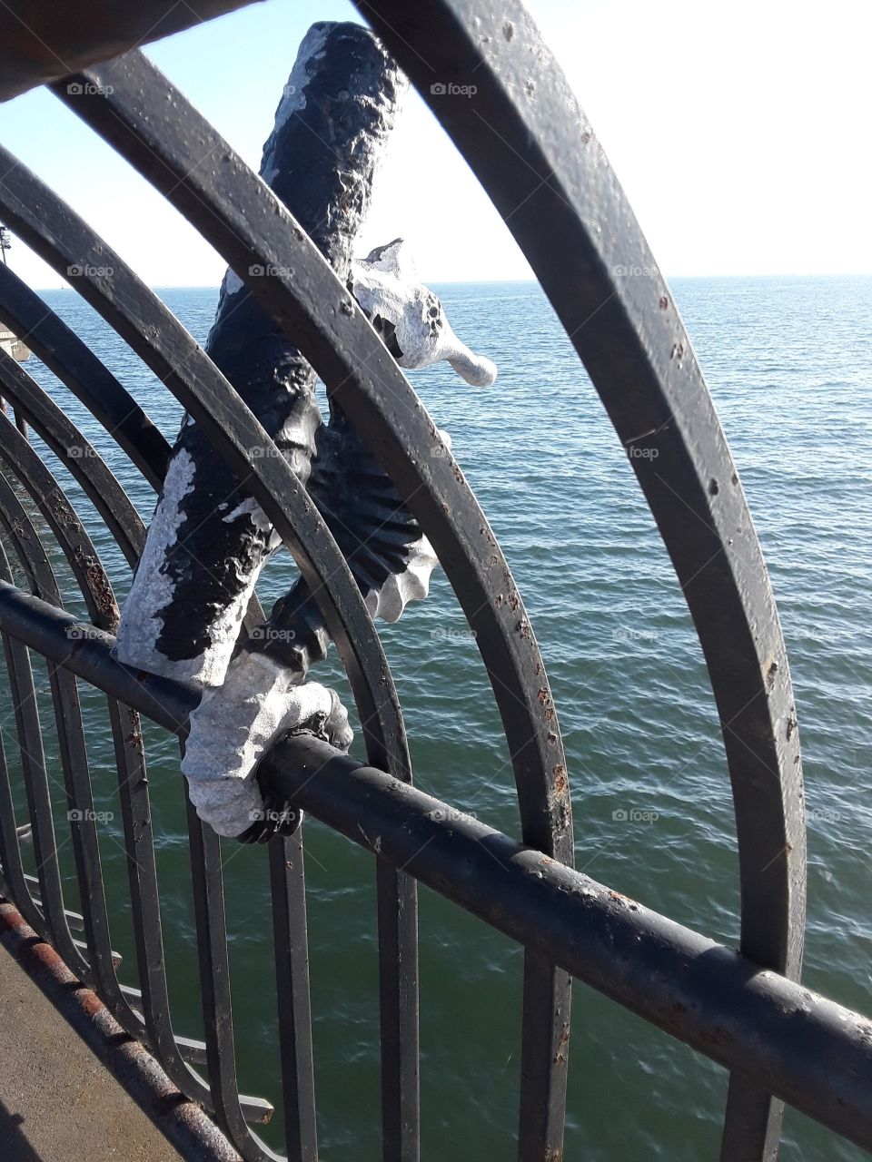 Railing on the pier