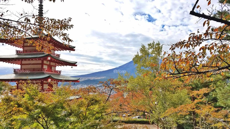 Red Pagoda and mount Fuji in the clouds