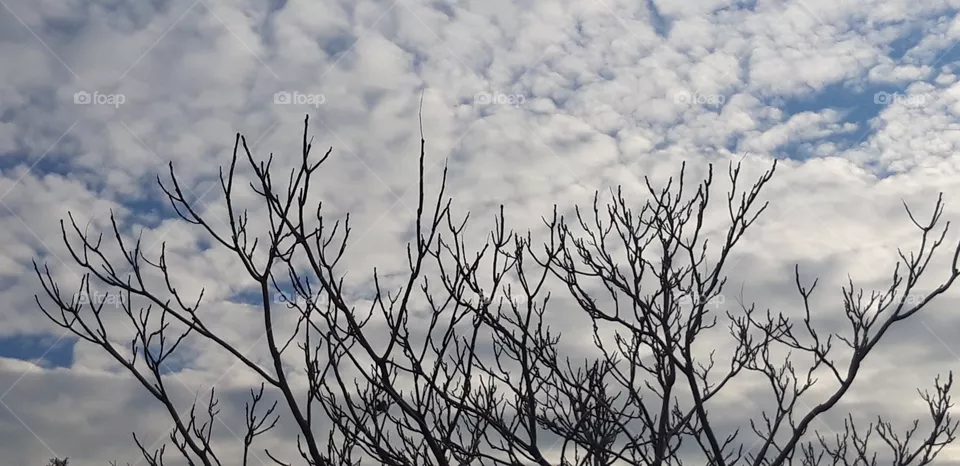 sky