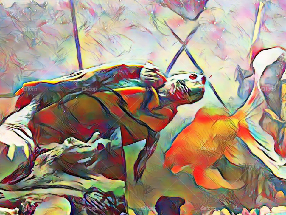 My turtle and fish in a digital paint look edit