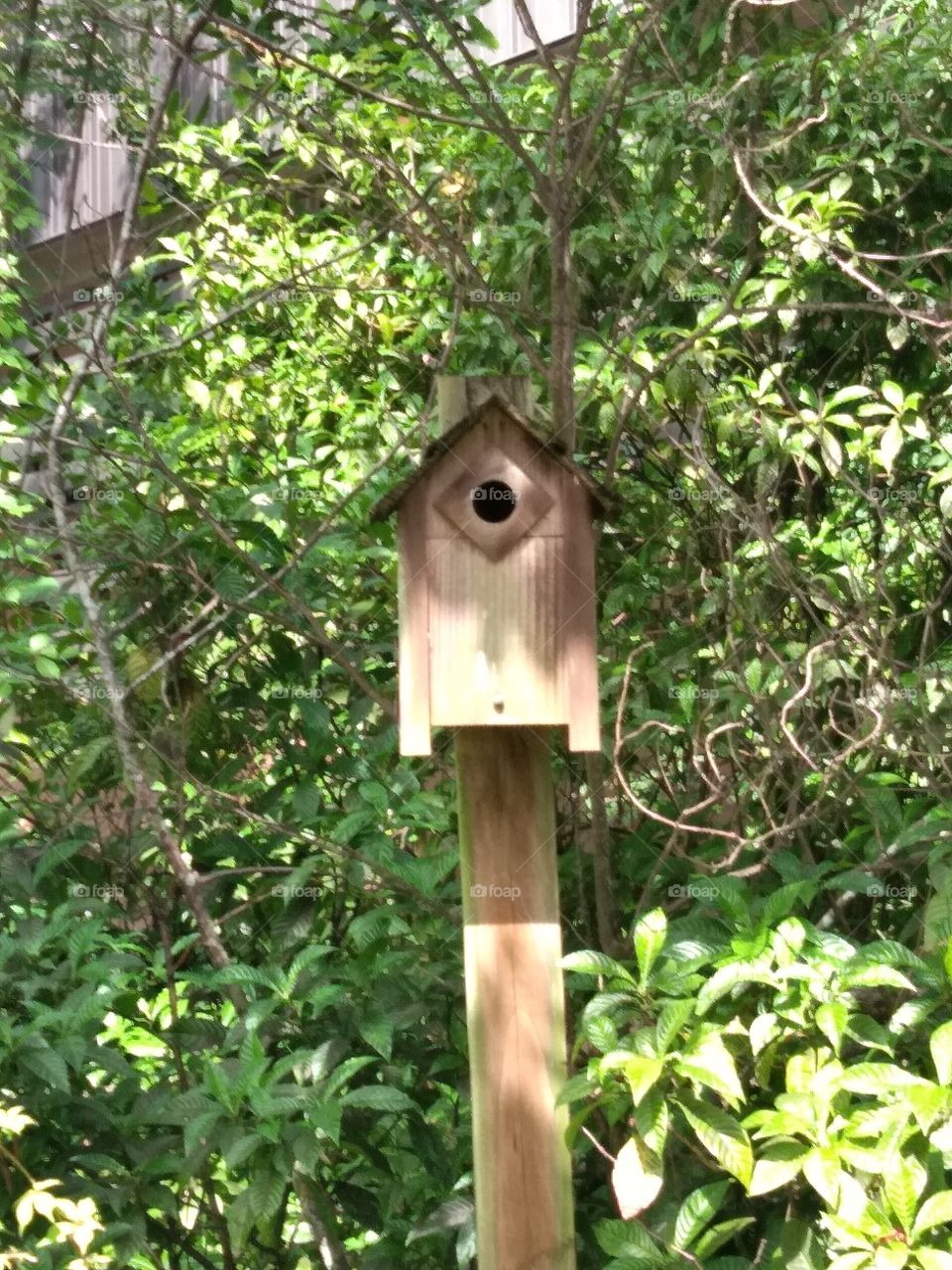 Birdhouse in Woods
