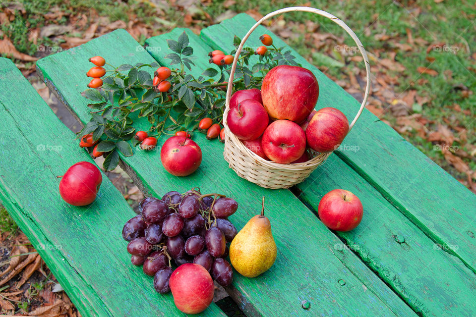 still life of autumn fruits
