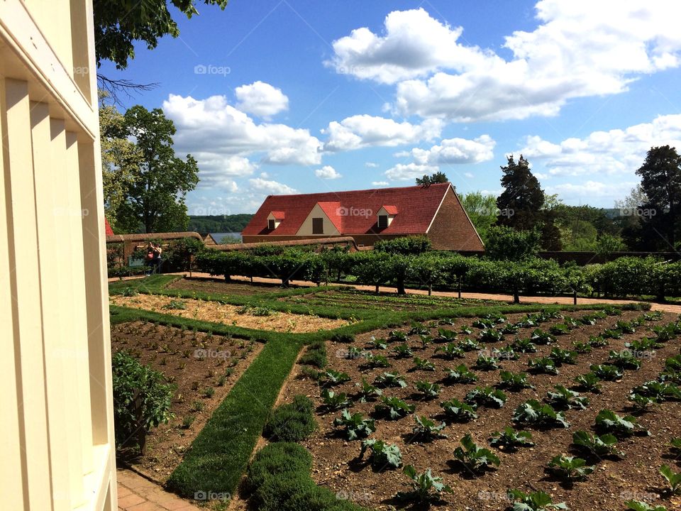 Mount Vernon gardens . Mount Vernon gardens