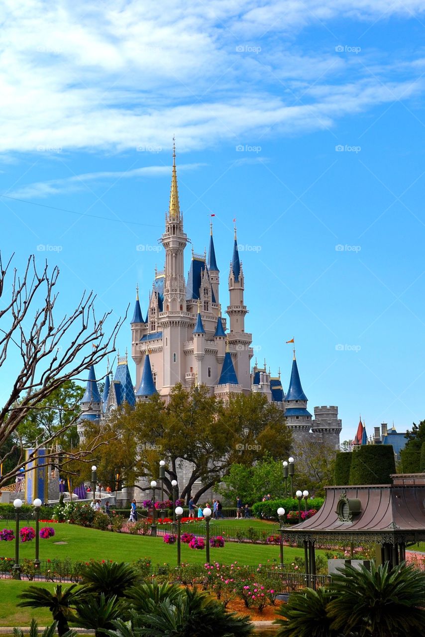Cinderella's castle
