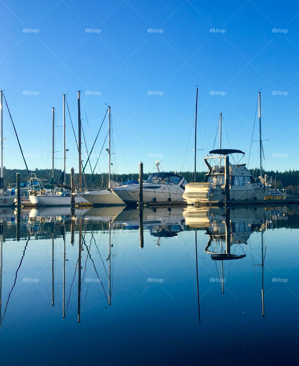 Marina Reflections 