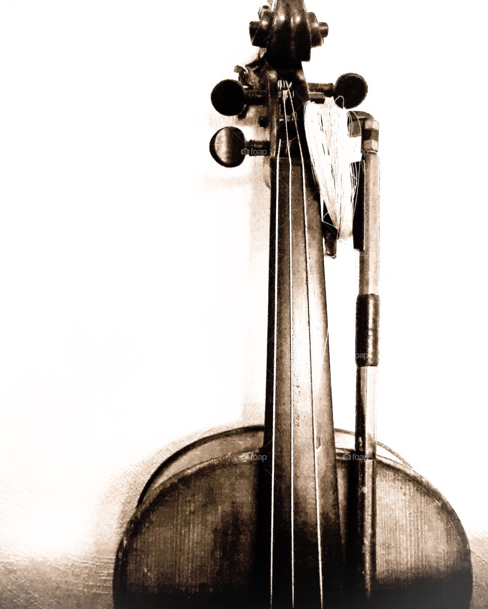 Musical instrument. Violin