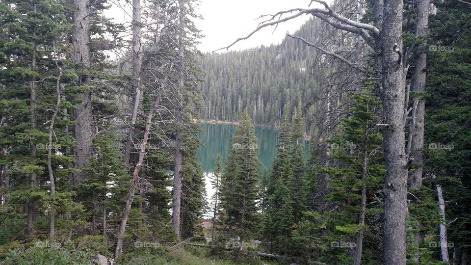 Fairy Lake Montana
