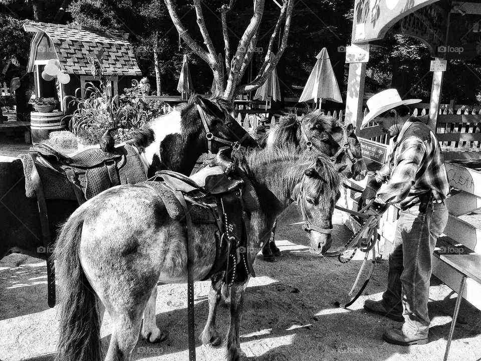 Cowboy leading ponies back to the stable