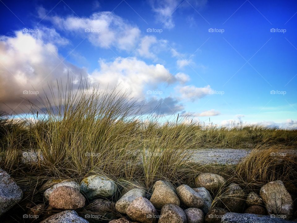 A beautiful walk at the beach