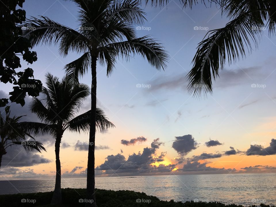 Hawaiian sunset paradise 