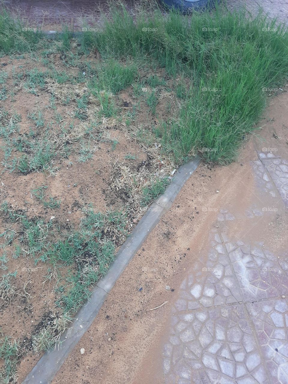 Please help me, I am very poor, I need your support and God is in need