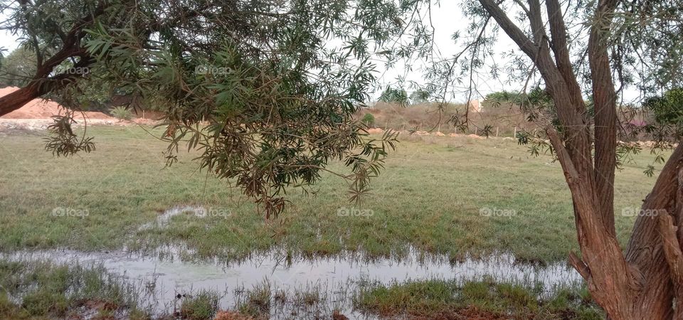 Nature is simply beautiful ❤️