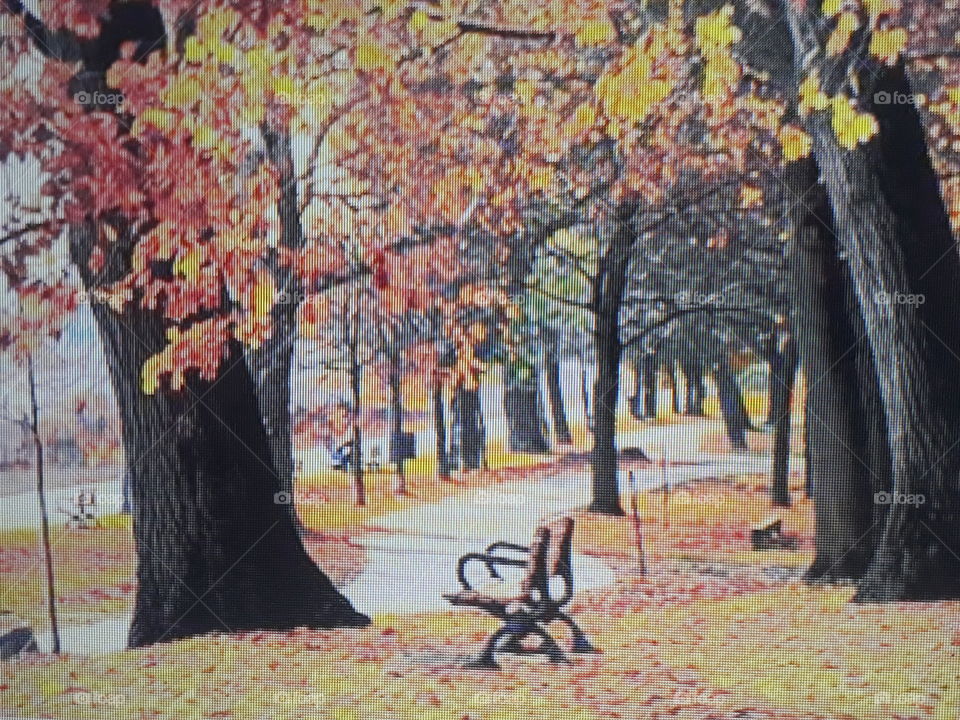 freestanding in the park with trees with yellow and red leaves falling to the ground