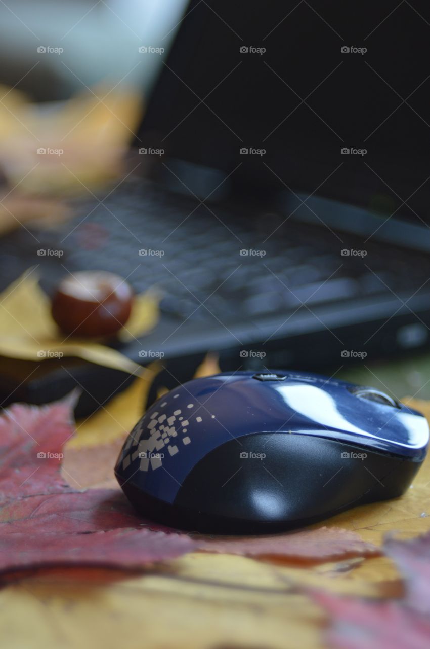 Desktop and leaves