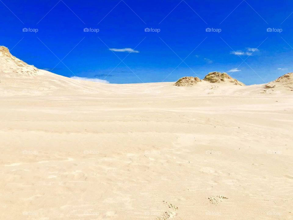 Desert