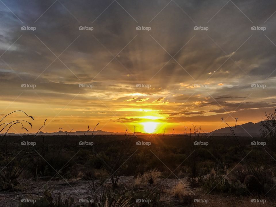 Desert Sunset 