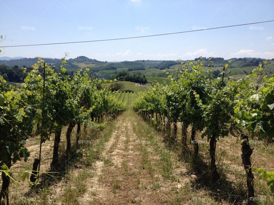 Winery in Toscana