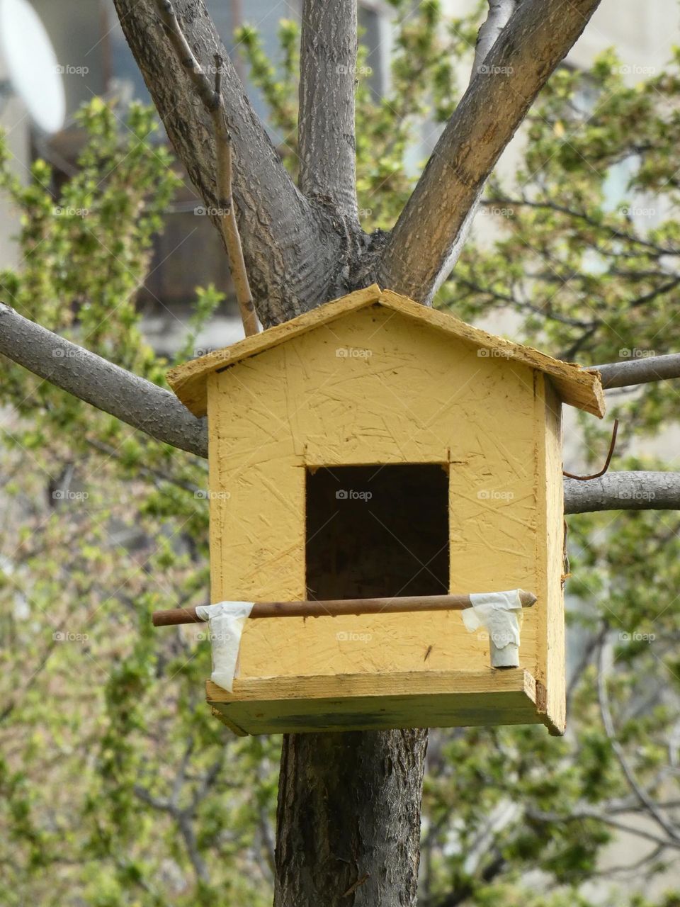 Bird house