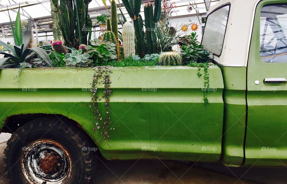 Green Color Story - right side panel of a pickup truck being used as a planter