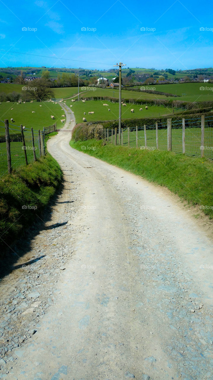 A White Road cutting through idyllic Welsh countryside