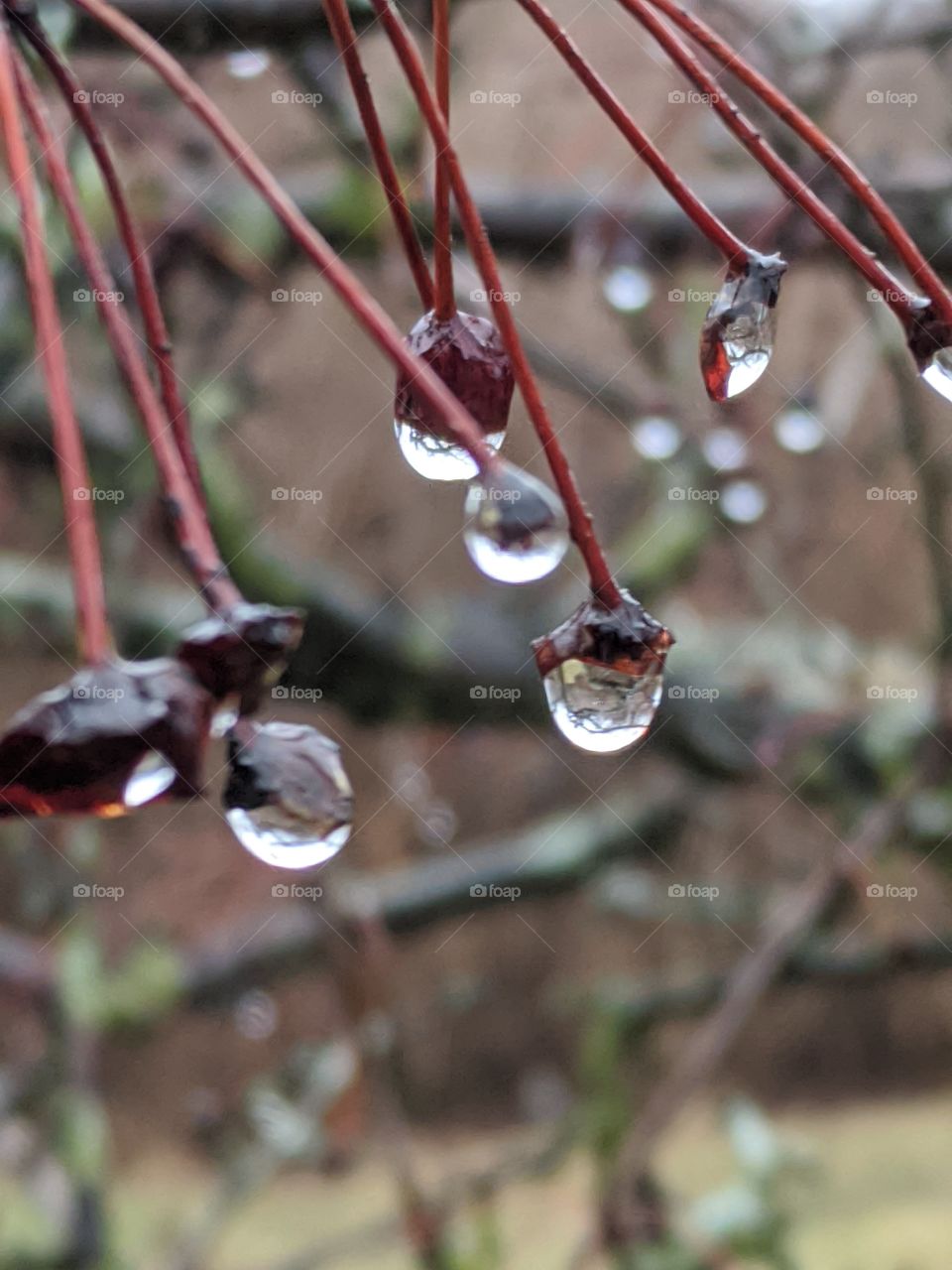 drops